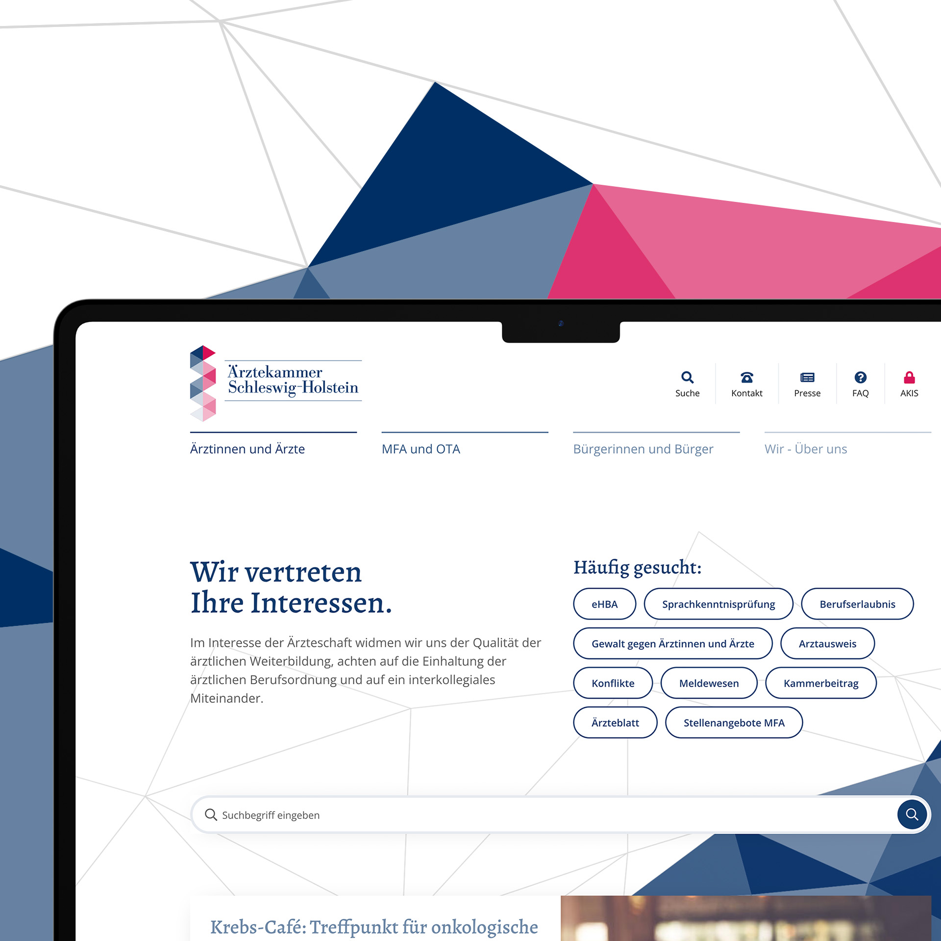 Vorschau der Ärztekammer SH Website