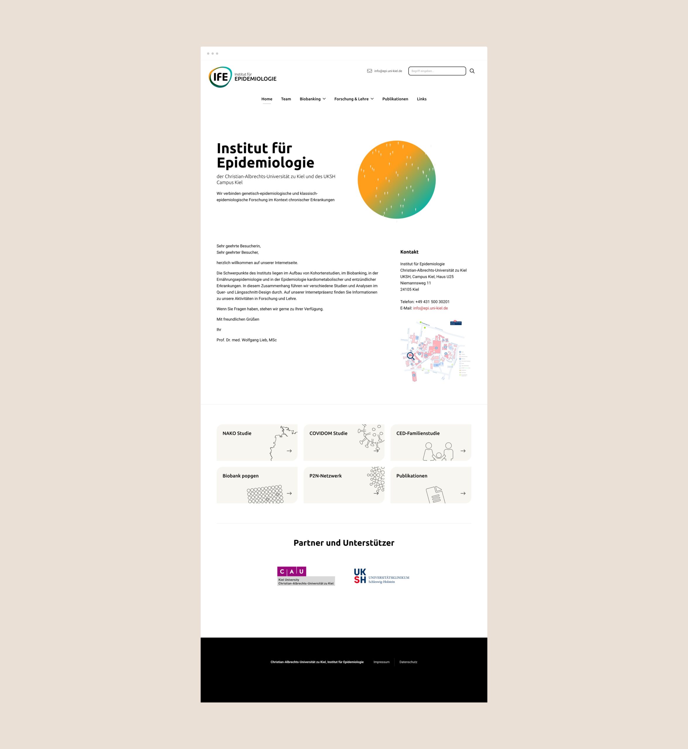 Volle Ansicht der Homepage des Instituts für Epidemiologie